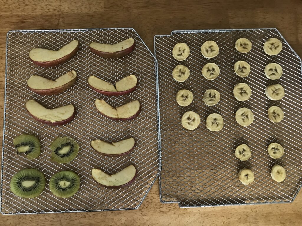 バナナとリンゴとキウイがドライフルーツになった